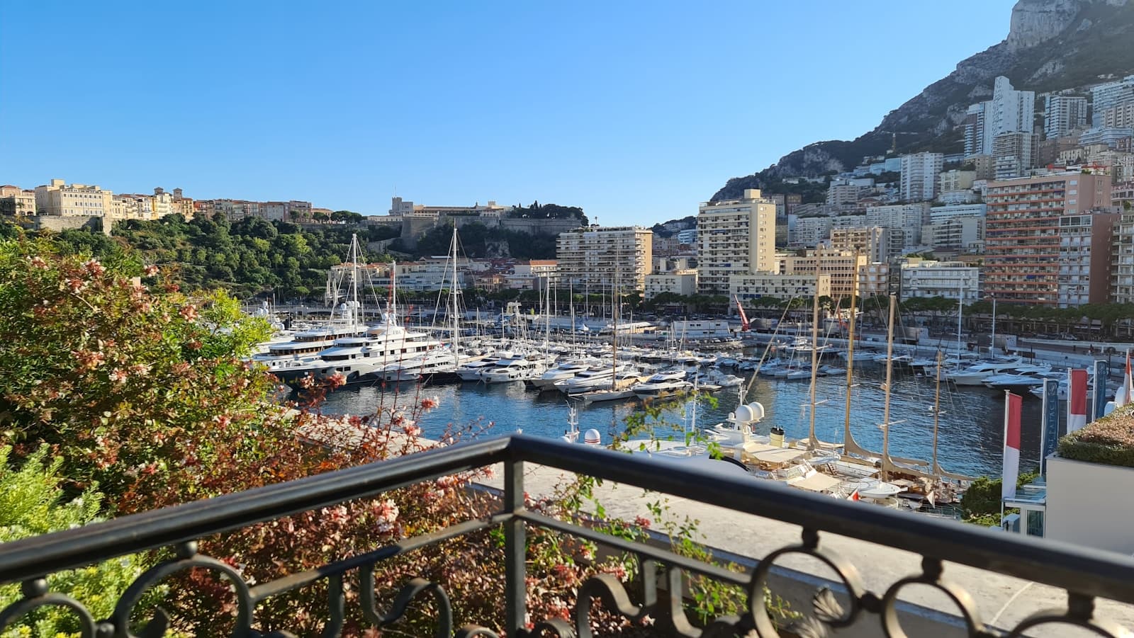 Monte Carlo