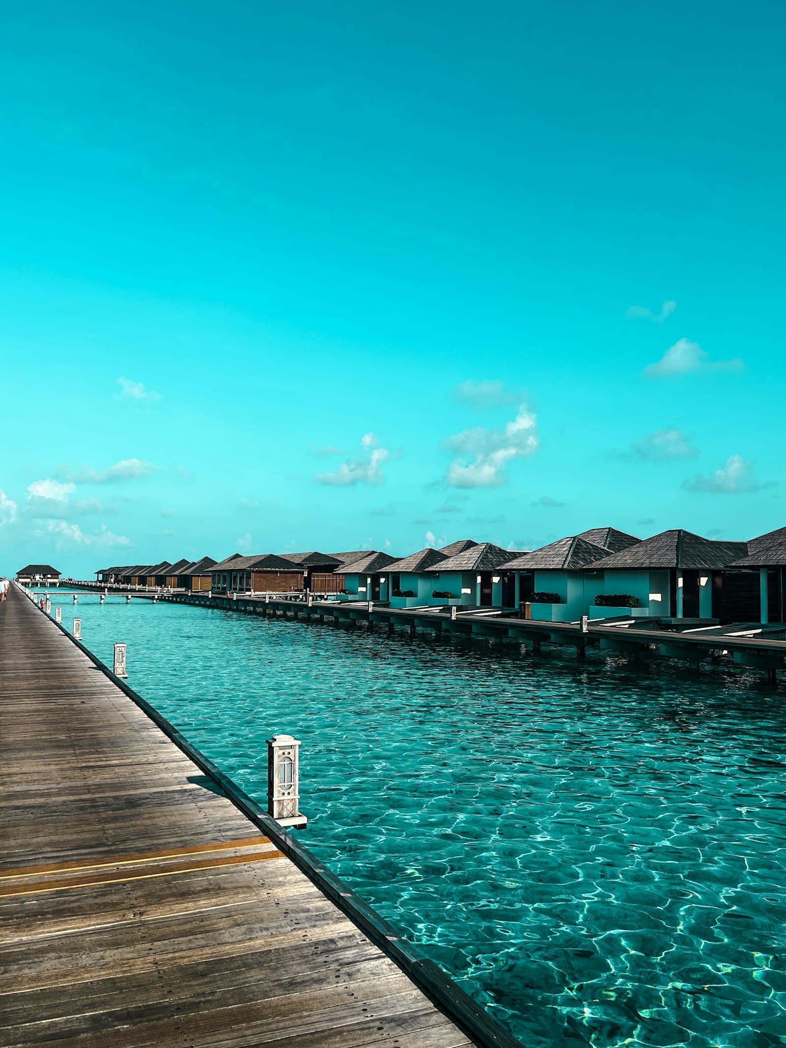 Caribbean Escape
